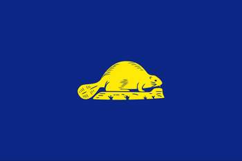 The reverse of the state flag of Oregon